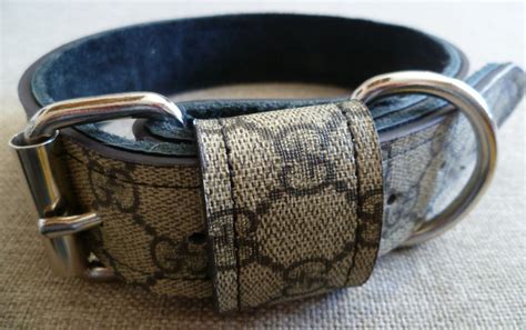 gucci collars|gucci inspired dog collar.